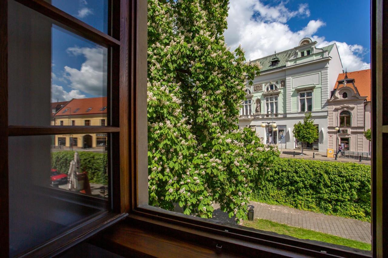 Castle Hotel & Wellness Подебрады Экстерьер фото
